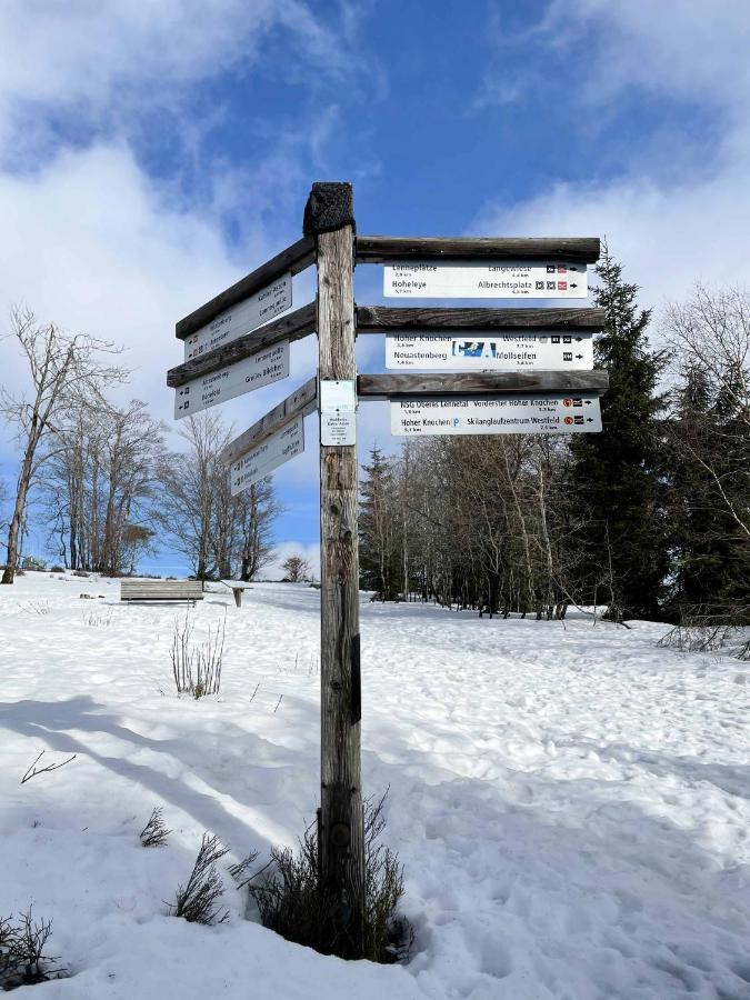 Staycozy Bike&Ski Apartments, Barrierefrei, Free Wifi, Erdgeschoss Winterberg Exterior photo
